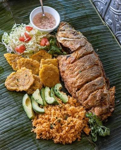 Red Snapper